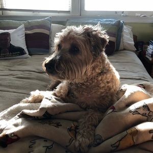 Meet your Posher, Ava